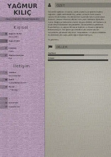 Okul Öncesi Öğretmeni Öğretmenliği Cv Örnekleri cv indir